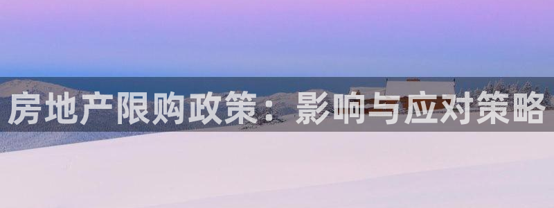 和黄记官网：房地产限购政策：影响与应对策略