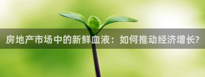 和记黄埔 官网：房地产市场中的新鲜血液：如何推动经济增长?