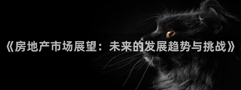 和记增值官网：《房地产市场展望：未来的发展趋势与挑战》