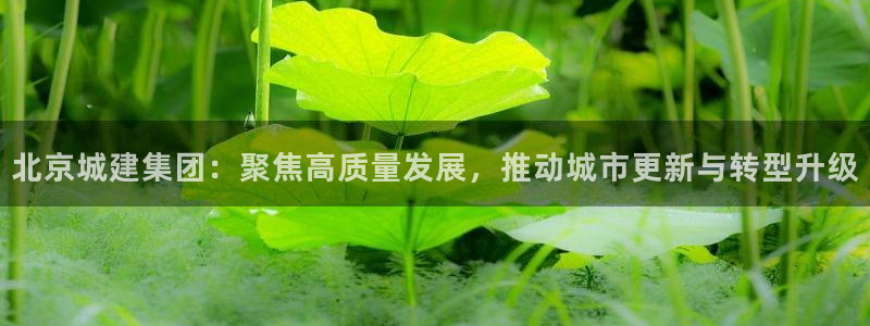 和记黄埔官网教育：北京城建集团：聚焦高质量发展，推动城市更新