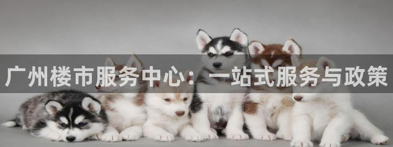 和记官网入口：广州楼市服务中心：一站式服务与政策