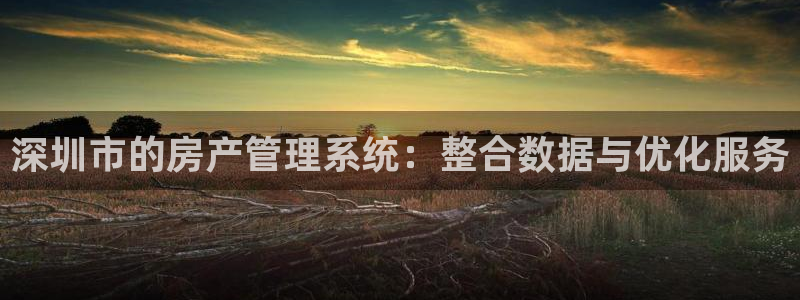 和记隆官网：深圳市的房产管理系统：整合数据与优化服务