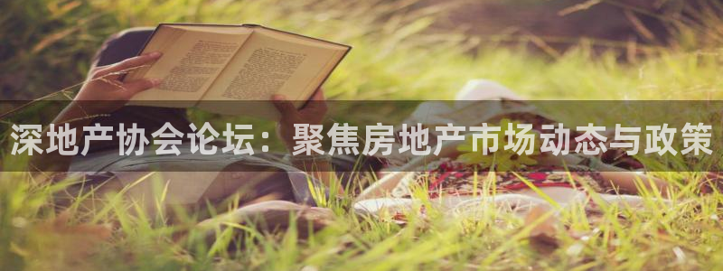 和记电讯3官网：深地产协会论坛：聚焦房地产市场动态与政策