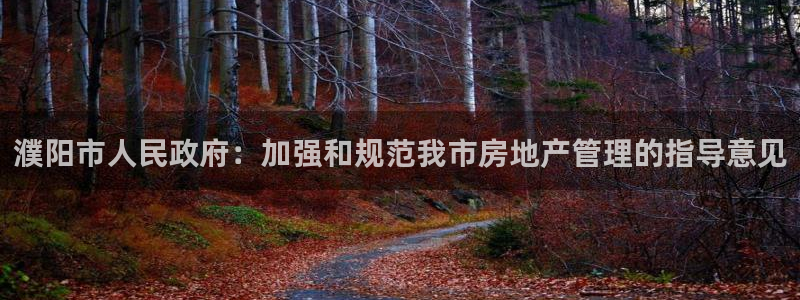 和记娱精湛h88285官网：濮阳市人民政府：加强和规范我市房